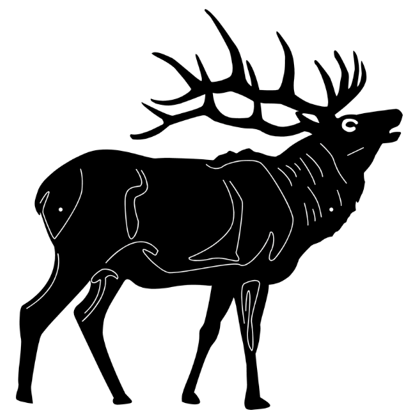 Bugling Elk 1 image 0